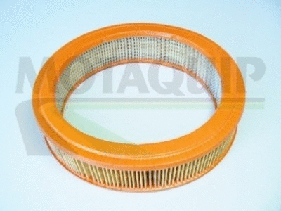 Air Filter (VFA585)