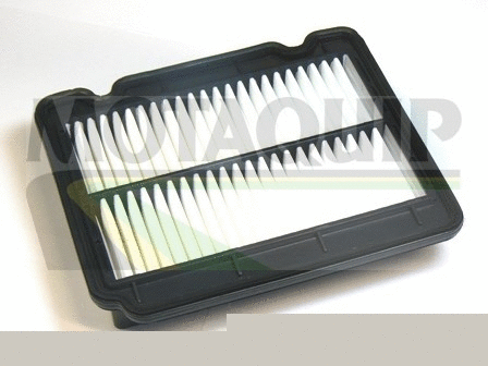 Air Filter (VFA1148)