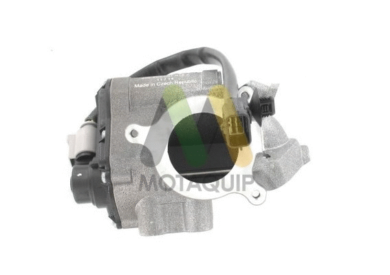 EGR Valve