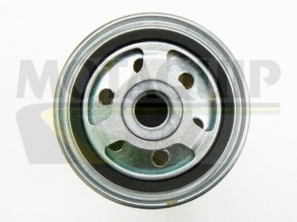 Fuel Filter (VFF446)
