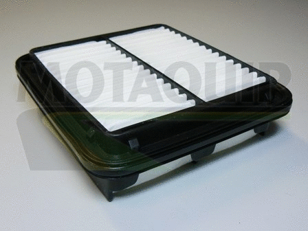 Air Filter (VFA941)