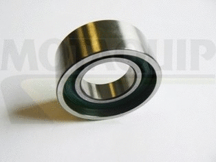 Timing Belt Kit (VTT101)