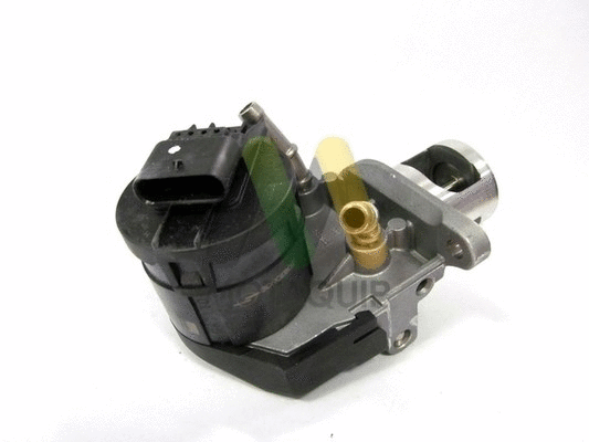 EGR Valve (LVER265)
