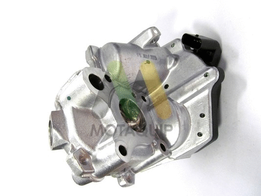 EGR Valve (LVER356)