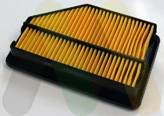 Air Filter (LVFA1614)