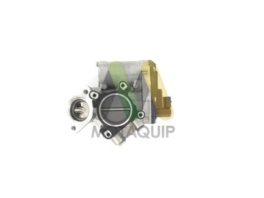 EGR Valve (LVER260)