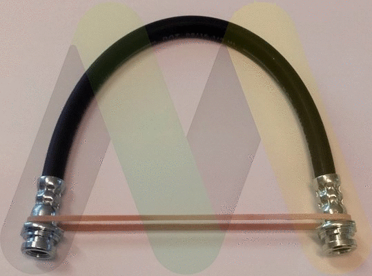 Brake Hose (LVBH1697)