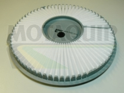 Air Filter (VFA780)
