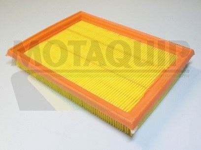 Air Filter (VFA786)