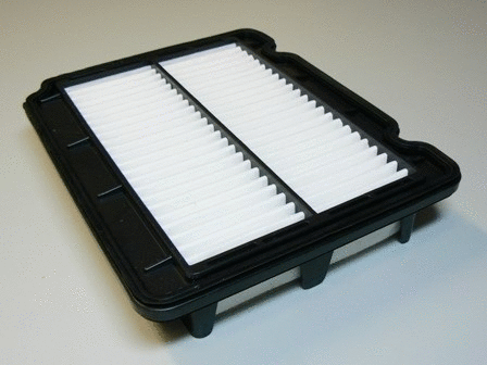 Air Filter (VFA1101)