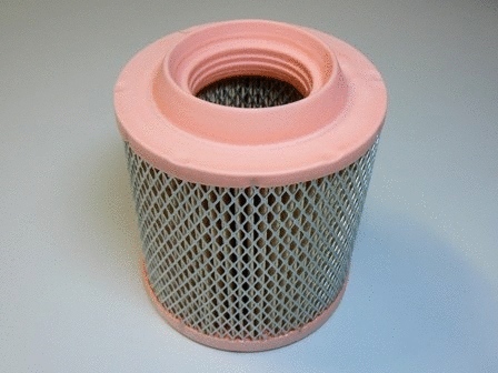 Air Filter (VFA1117)