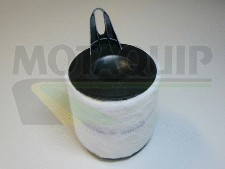 Air Filter (VFA1096)