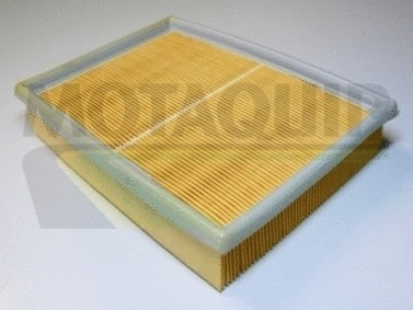 Air Filter (VFA641)
