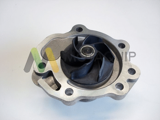 Water Pump, engine cooling (LVWP999)