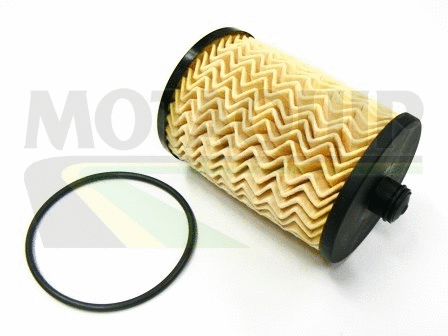 Fuel Filter (VFF479)
