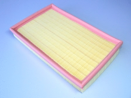 Air Filter (VFA498)