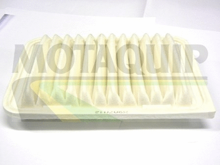 Air Filter (VFA1176)