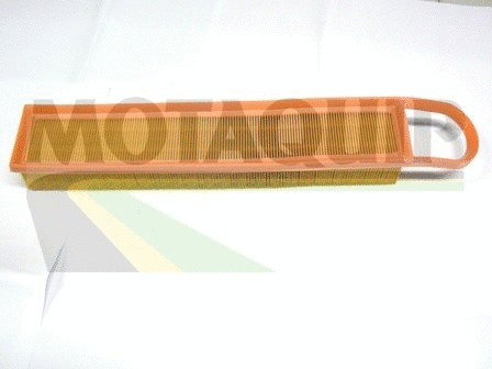 Air Filter (VFA1128)