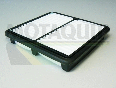 Air Filter (VFA943)