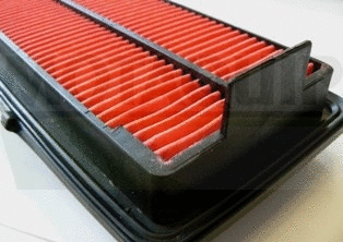 Air Filter (VFA1230)