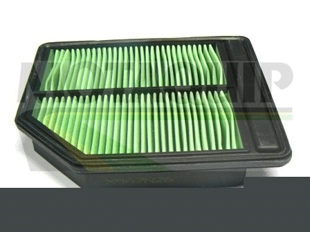 Air Filter (VFA1175)