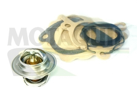 Thermostat, coolant (VTK4)