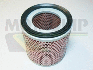 Air Filter (VFA662)