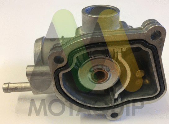 Thermostat, coolant