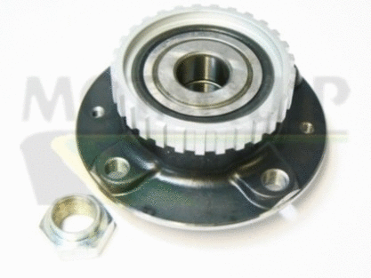 Wheel Bearing Kit (VBK1008)