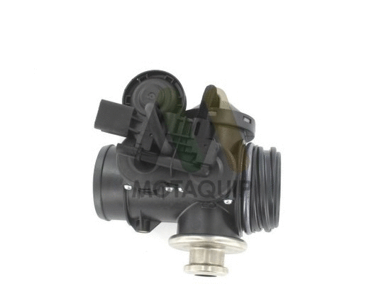EGR Valve (LVER153)