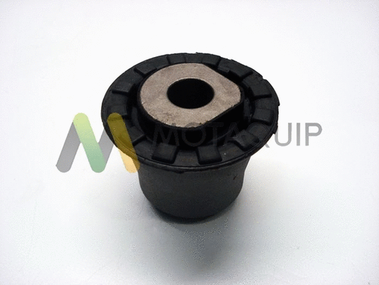 Bushing, axle beam (VSK711)