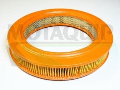 Air Filter (VFA589)