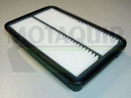 Air Filter (VFA818)