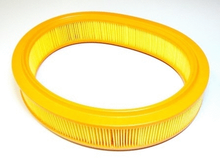 Air Filter (VFA42)