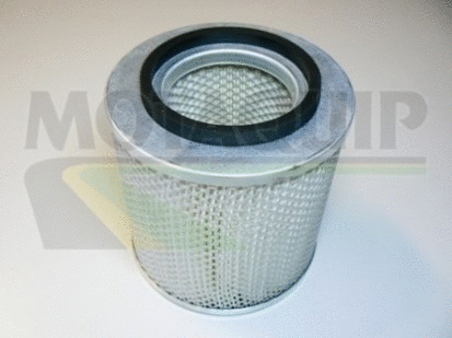 Air Filter (VFA768)