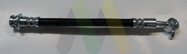Brake Hose (LVBH1746)