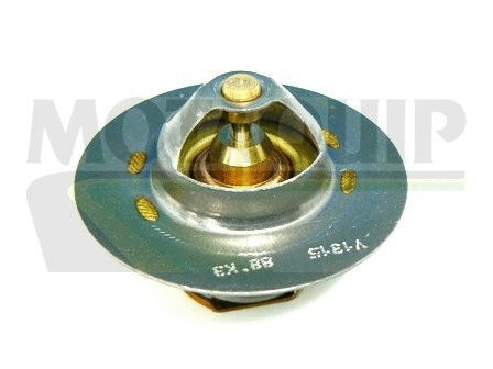 Thermostat, coolant (VTS243)