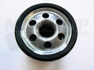 Oil Filter (VFL217)