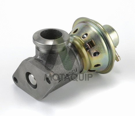 EGR Valve (LVER213)