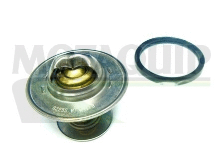 Thermostat, coolant (VTK55)