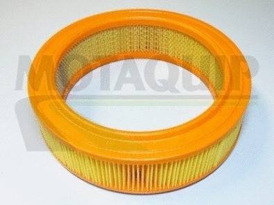 Air Filter (VFA180)