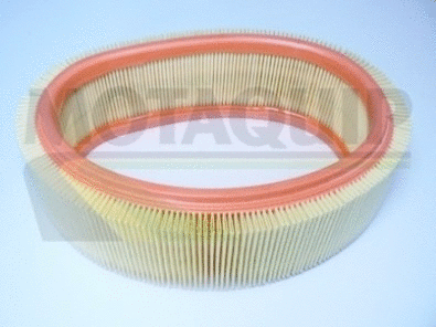 Air Filter (VFA19)