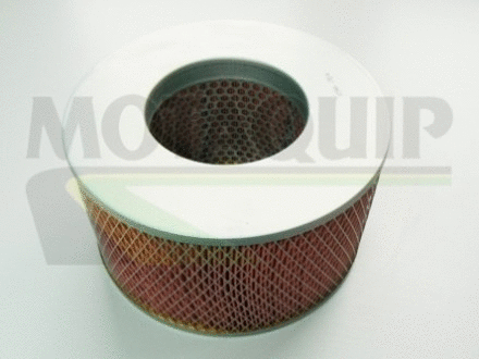 Air Filter (VFA23)