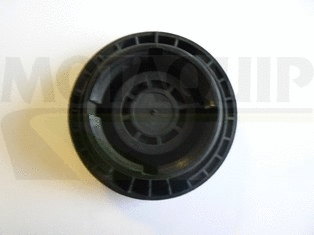 Cap, coolant tank (VCR244)
