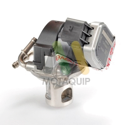 EGR Valve (LVER134)
