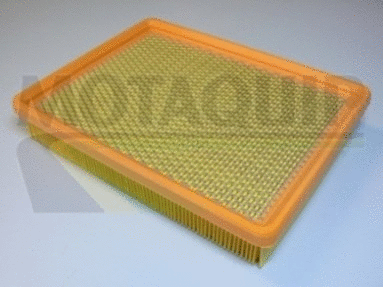 Air Filter (VFA79)