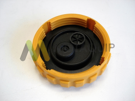 Cap, coolant tank (LVCR321)