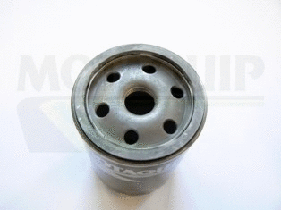 Oil Filter (VFL117)