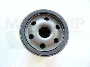 Oil Filter (VFL162)