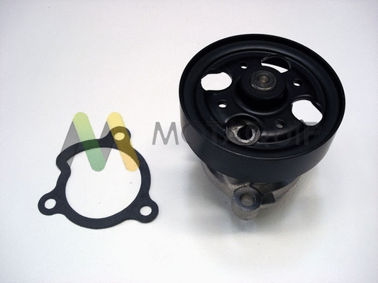 Water Pump, engine cooling (LVWP1001)